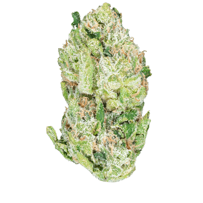 Blue Dream – THCa Flower