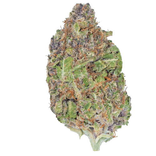 Cereal Milk – THCa Flower