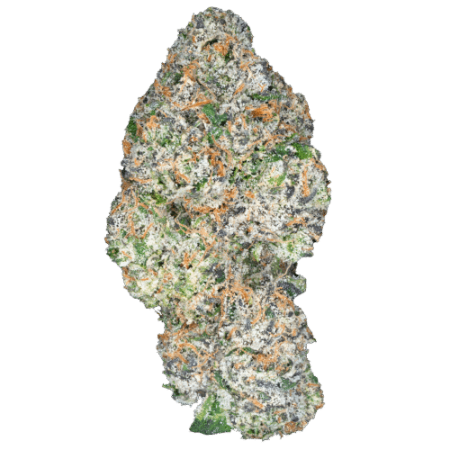 Cherry Zashimi – THCa Flower
