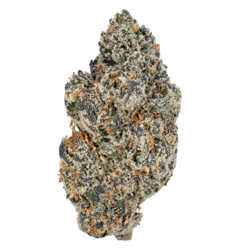 Gelato – THCa Flower
