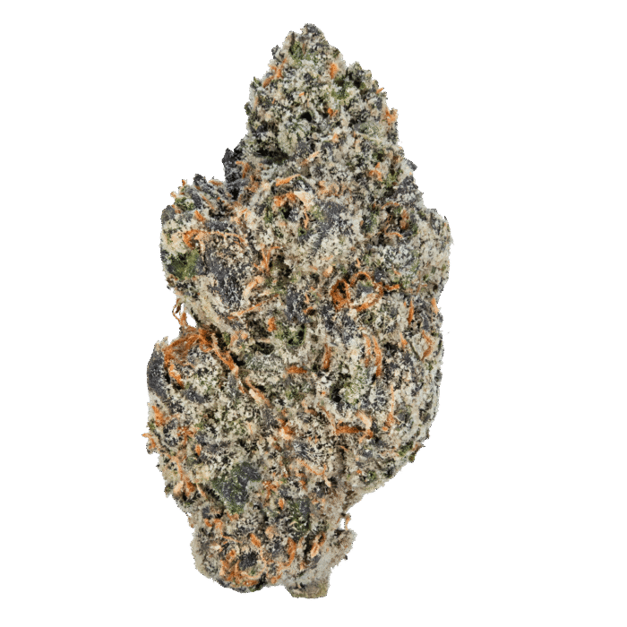 Gelato – THCa Flower