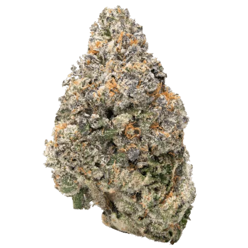Jealousy – THCa Flower