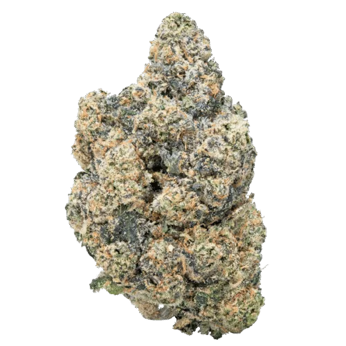 Purple Push Pop- THCa Flower
