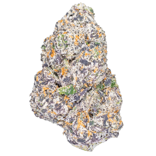White Truffle – THCa Flower